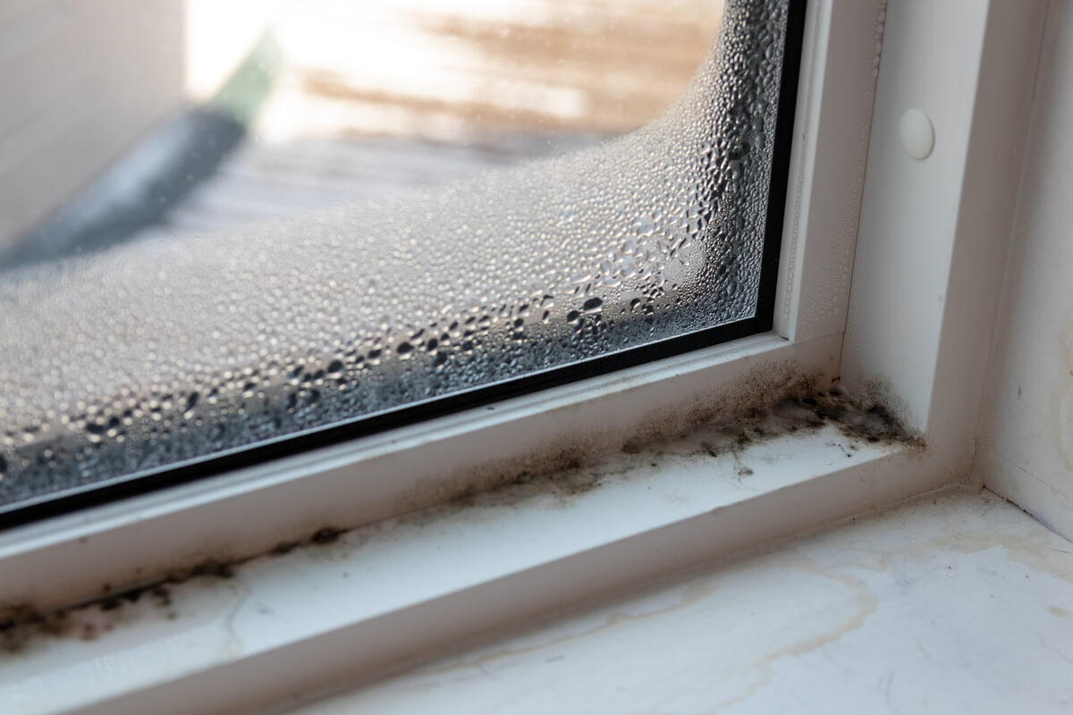 Schimmel am Fenster